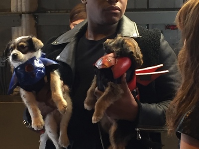 These puppy Jaeger costumes were created by Castle Corsetry for Screen Junkies with John Boyega as promotional material for the film Pacific Rim 2: Uprising. https://youtu.be/zl4g0nsnP1c 	